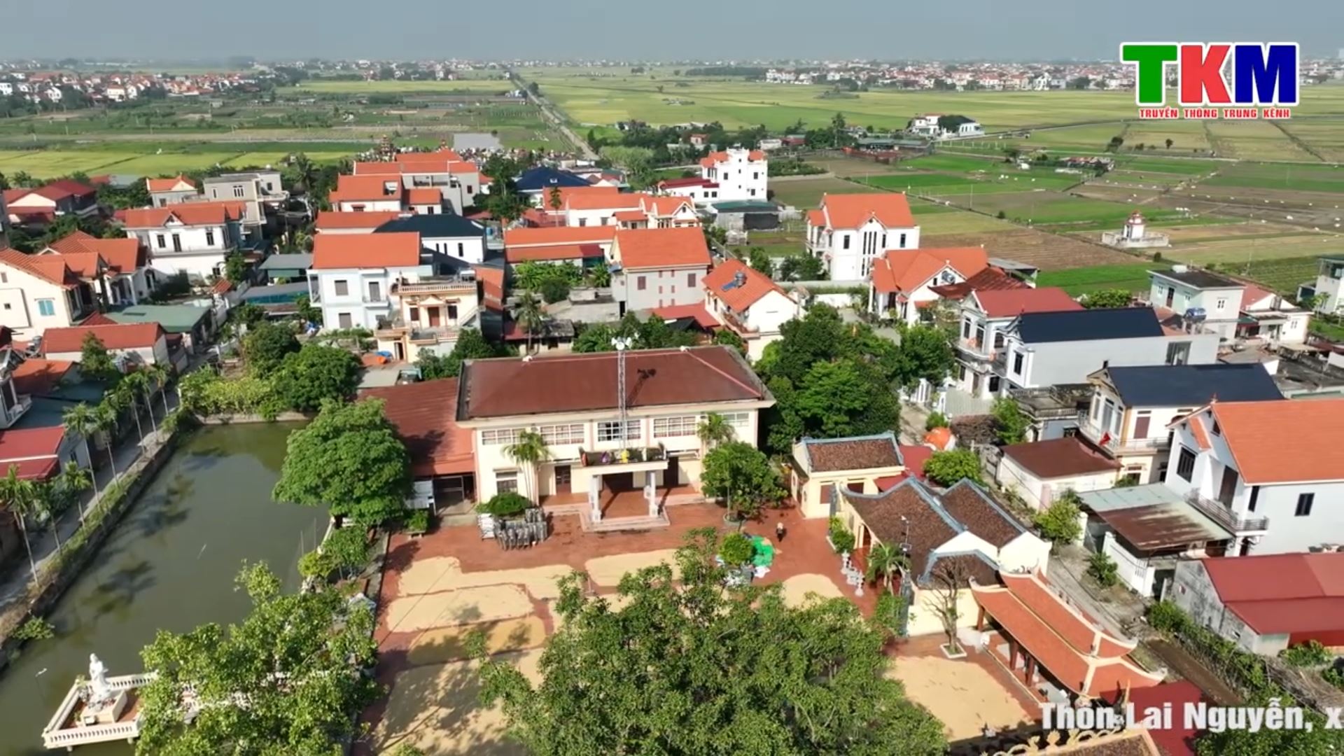 LAI NGUYỄN - QUÊ HƯƠNG ĐANG VÀO MÙA GẶT